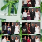 228-229-230-231-232-233composite