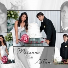 132-133-134composite