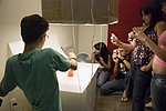 DSC_0919.jpg
