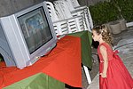 036.jpg