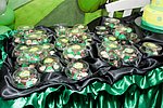 060.jpg
